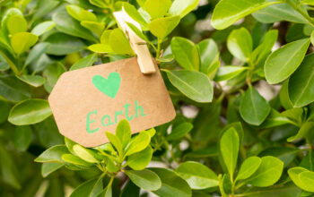 O que é ser uma empresa B?