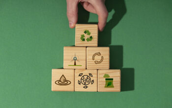 De onde surgiu o termo ”ESG” (Environmental, Social and Governance)?